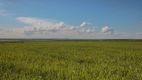 Rapid movement of clouds in the spring over wheat fields in the steppes Stock Footage 76200445