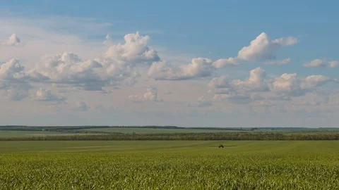Rapid movement of clouds in the spring over wheat fields in the steppes Stock Footage 76200497