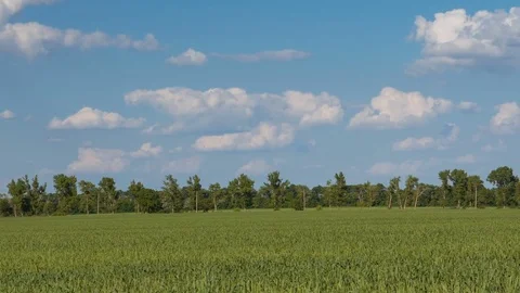 Rapid movement of clouds in the spring over wheat fields in the steppes Stock Footage 76200892