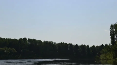 Rapid movement on the forest river Stock Footage 43340954