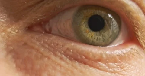 Rapid movement of the pupil of the human eye. Concept of fast reading, viewing 動画素材 270371676