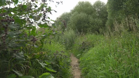 Rapid movement through the field of grass Stock Footage 130214586