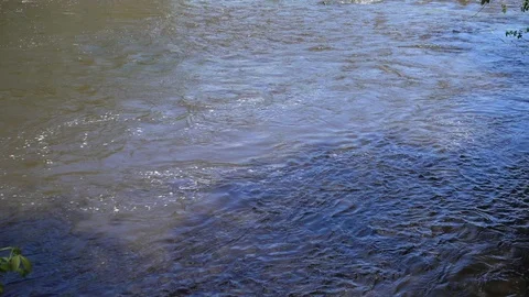 Rapid powerful river flow with tree shadow at sunny day Stock Footage 86014579