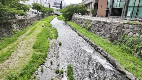 Rapid River and Grassy Riverbed by the Road Stock Footage 328091976