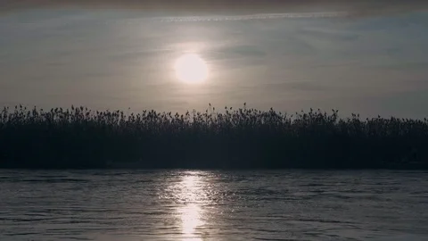 Rapid river and sunset over the reeds Stock Footage 127144208