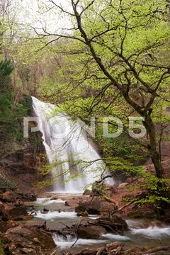 The rapid river and waterfall. Stock Photos