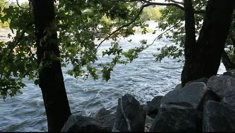 Rapid river flow Stock Footage 11137123