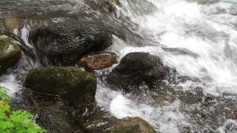 A rapid river flow in the mountains washes wet boulders. Stock Footage 252027335