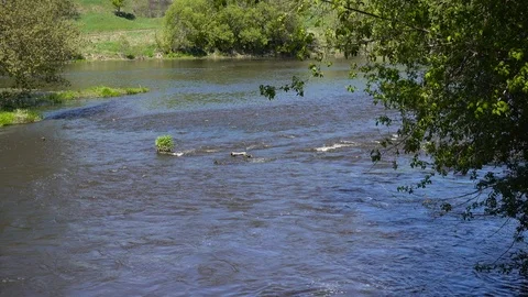 Rapid river flow at spring sunny day, 4K ultra hd video footage Stock-Footage 86014122