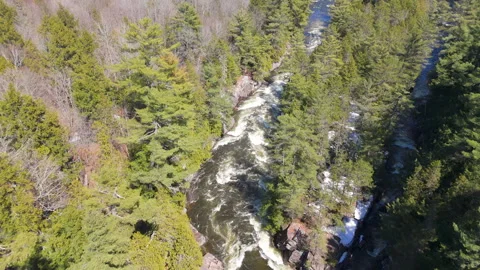 Rapid River Flow Through Forest Gorge – Aerial 4K Footage Stock Footage 307463723