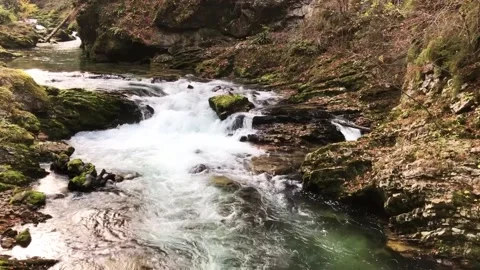 Rapid river flowing quickly. Video stock 152734680
