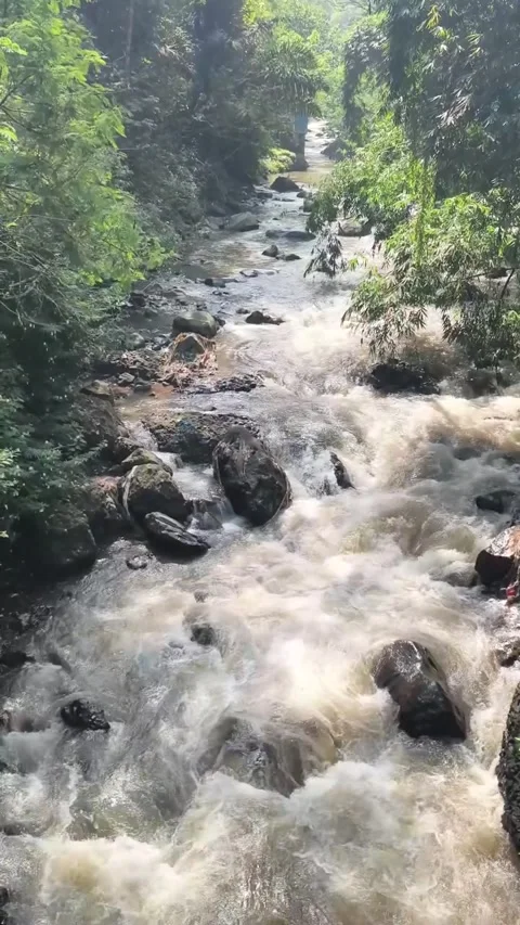 Rapid River Flowing Through Rocky Jungle Valley Stock Footage 341320567