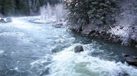 Rapid river in a snow covered forest Video stock 44746271