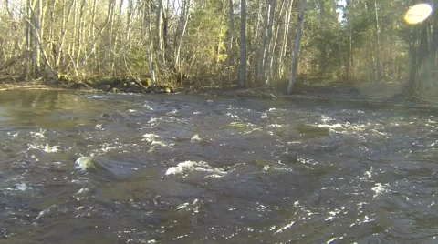 Rapid river at springtime Stock Footage 48965995