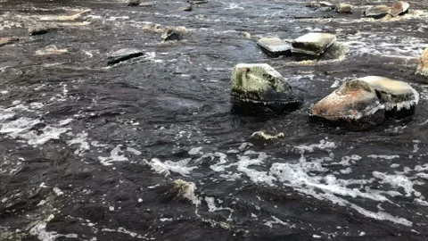 Rapid river in winter Stock Footage 256929420