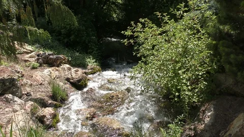 Rapid river in Yellowstone Stock Footage 111498823