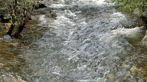 Rapid running river straight toward camera Stock Footage 76556761