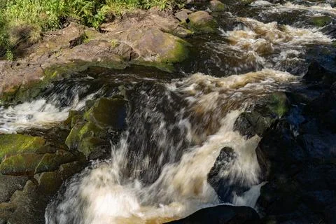 Rapid small mountain river with waterfall in forest Fotos de archivo