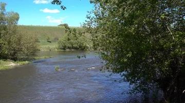 Rapid spring river at sunny day, 4K 2160p video footage Stock Footage 86014113