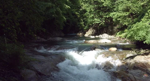 Rapid stream, 4k color graded (4000x2160) Stock-Footage 50129040