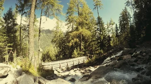 Rapid stream in the alpine forest with rocks and tall trees Stock Footage 53873527