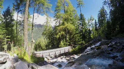 Rapid stream in the alpine forest with rocks and tall trees. Wood bridge Stock Footage 53873533