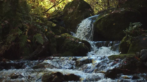 Rapid stream is cascading from the rocks and splashing over the stones. creek is Stock Footage 204051037