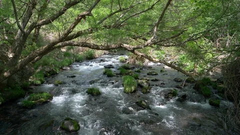 Rapid Stream Flowing Down a Mountain Stock Footage 102270893