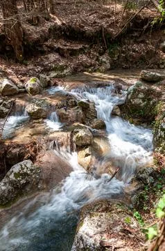 Rapid stream flows over rocky terrain in a forest. Sunlight filters through.. Stock Photos