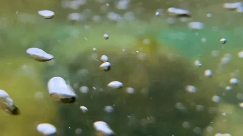 Rapid stream flows underwater with bubbles across rocky riverbed Stock Footage 333823239