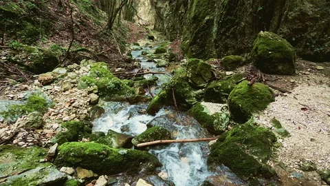 Rapid stream Stock Footage 128357705