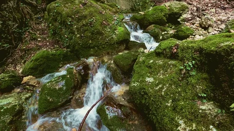 Rapid stream Stock Footage 128359481