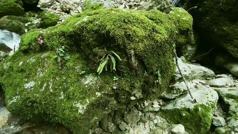 Rapid stream Stock Footage 128529302