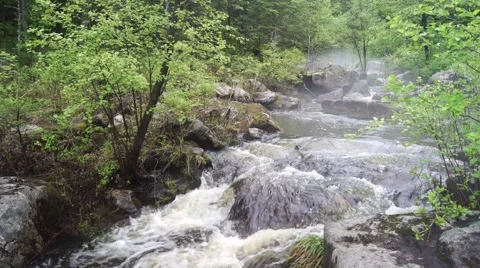 Rapid stream of forest river in Heilongjiang (China) Stock Footage 64897643