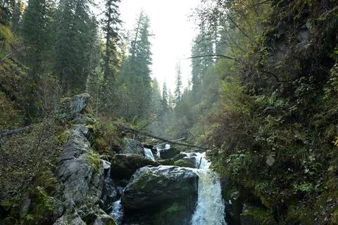 A rapid stream of a mountain river flows down like a stormy waterfall from .. Stock Photos