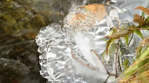 Rapid stream in mountain river. Stock Footage 10717627