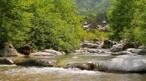 Rapid stream of a mountain river. Stock Footage 11135443