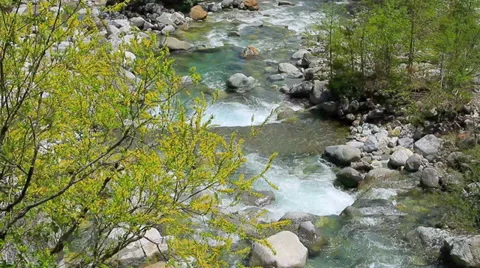 Rapid stream of a mountain river. Stock Footage 37855304