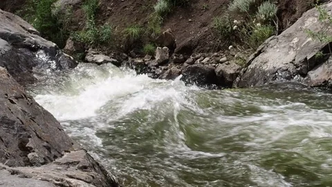 Rapid stream of a mountain river. Stock Footage 98590225