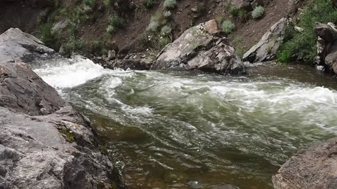 Rapid stream of a mountain river. Stock Footage 98590232