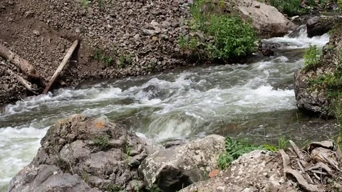 Rapid stream of a mountain river. Stock Footage 98590352