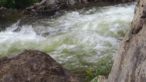 Rapid stream of a mountain river. Stock Footage 98590353