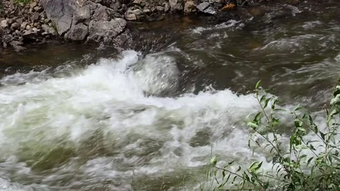 Rapid stream of a mountain river. Stock Footage 98590393