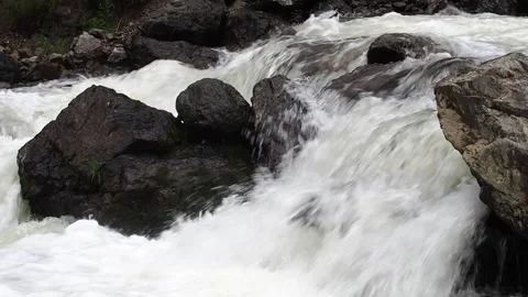 Rapid stream of a mountain river. Stock Footage 98636765