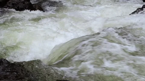 Rapid stream of a mountain river. Stock Footage 98636847