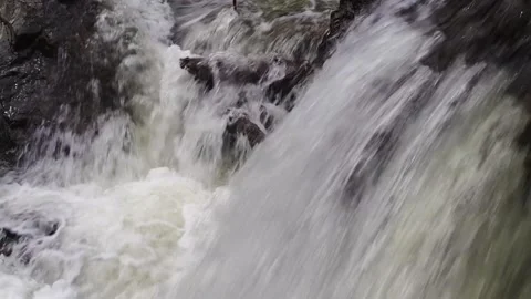 Rapid stream of a mountain river. Stock Footage 98636911