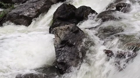 Rapid stream of a mountain river. Stock Footage 98637037