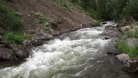 Rapid stream of a mountain river. Stock Footage 98637081