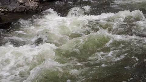 Rapid stream of a mountain river. Stock Footage 98637099