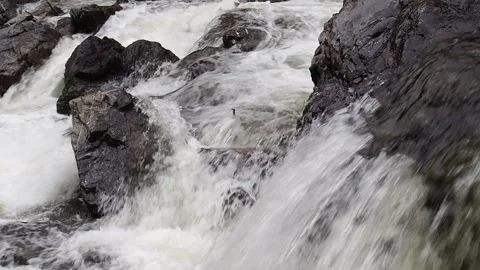 Rapid stream of a mountain river. Stock Footage 98637133